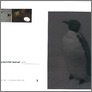 [thumbnail of KATE DAVIS PDF/Kate Davis,The Cut,Swedenborg Short Film Festival,2011,PDF.pdf]