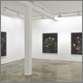 [thumbnail of Sarah_Jones_exhibition_installation_view_II_2008.jpg]