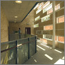 [thumbnail of de Rijke.Clapham Manor School.Atrium.jpg]