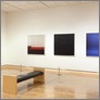 [thumbnail of Sarah Jones, New Pictures, Minneapolis Institute of Art, installation shot 3, 2013.jpeg]