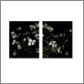 [thumbnail of flowers.pdf]