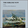 [thumbnail of Pajaczkowska Sublime Now cover.jpg]