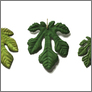 [thumbnail of Fig Leaf_detail 4.jpg]