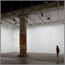 [thumbnail of Walking Sticks_Installation view_Venice Biennale (2009).jpg]