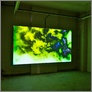 [thumbnail of Green Lady_ Installation view 2_The Story Museum, Oxford (2011).jpg.jpg]