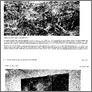 [thumbnail of Review by Peter Maxwell in Grafik https://www.grafik.net/category/exhibitions/picture-imperfect]