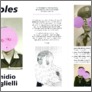 [thumbnail of Catalogue essay for Emidio Puglielli, Holes]