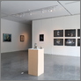 [thumbnail of Exhibition Installation]