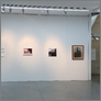 [thumbnail of Exhibition Installation]