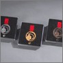 [thumbnail of medals in package design.jpg]