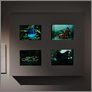 [thumbnail of Exhibition still C]