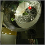 [thumbnail of Oasis no. 7 designed by Haus-Rucker-Co for Documenta 1972, inflatable structure displayed at the Cold War Modern Exhibition at the Cold War Modern Exhibition at the Victoria & Albert Museum, London, autumn 2008.jpg]